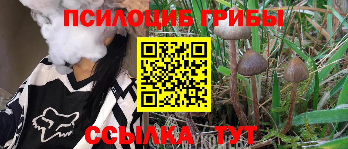 Псилоцибиновые грибы мухоморы  Вход с VPN  Великий Новгород 