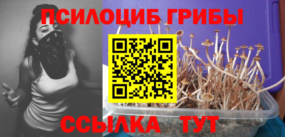 Псилоцибиновые грибы Magic Shrooms Великий Новгород